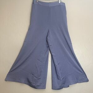 Express Lavender Wide-Leg Women's Pants